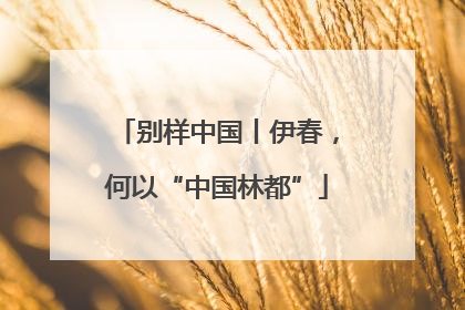 别样中国丨伊春，何以“中国林都”