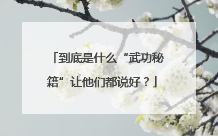 到底是什么“武功秘籍”让他们都说好？