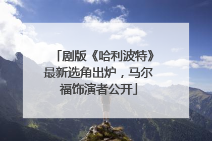 剧版《哈利波特》最新选角出炉，马尔福饰演者公开