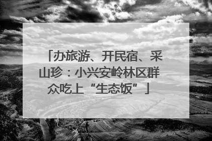 办旅游、开民宿、采山珍：小兴安岭林区群众吃上“生态饭”