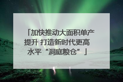 加快推动大面积单产提升 打造新时代更高水平“洞庭粮仓”