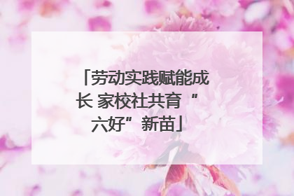劳动实践赋能成长 家校社共育“六好”新苗