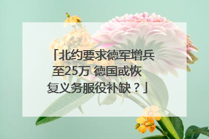 北约要求德军增兵至25万 德国或恢复义务服役补缺？