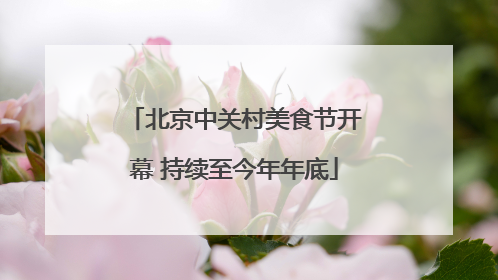 北京中关村美食节开幕 持续至今年年底