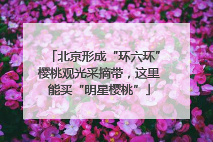 北京形成“环六环”樱桃观光采摘带，这里能买“明星樱桃”