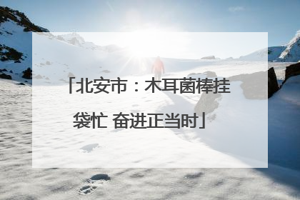 北安市：木耳菌棒挂袋忙 奋进正当时