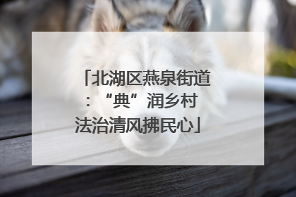 北湖区燕泉街道：“典”润乡村 法治清风拂民心