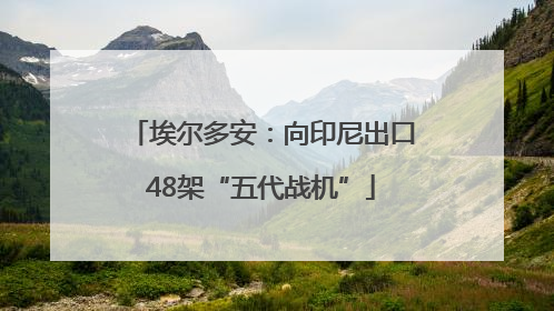 埃尔多安：向印尼出口48架“五代战机”