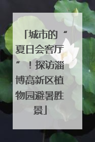 城市的“夏日会客厅”！探访淄博高新区植物园避暑胜景
