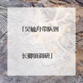 吴毓舟带队到长卿镇调研
