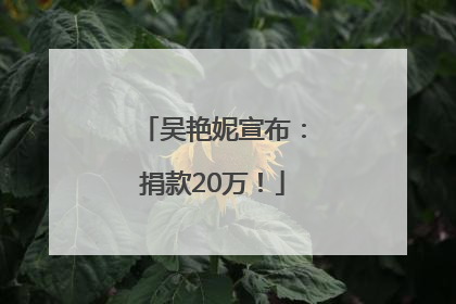 吴艳妮宣布：捐款20万！