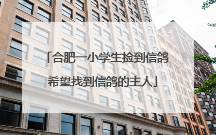 合肥一小学生捡到信鸽 希望找到信鸽的主人