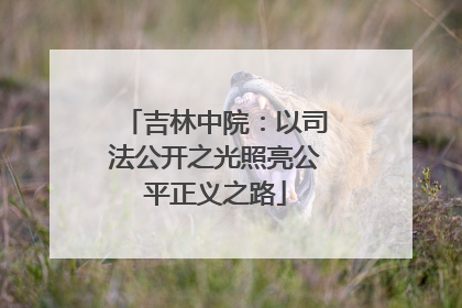 吉林中院：以司法公开之光照亮公平正义之路