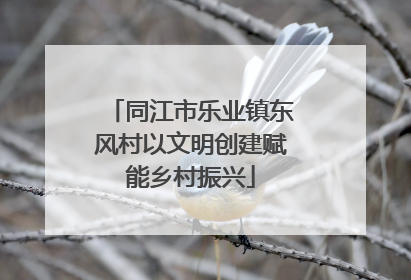 同江市乐业镇东风村以文明创建赋能乡村振兴