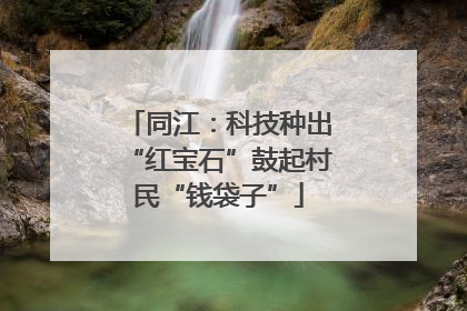 同江：科技种出“红宝石”鼓起村民“钱袋子”
