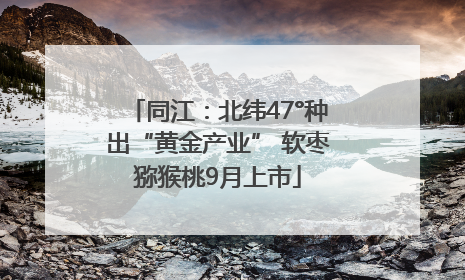 同江：北纬47°种出“黄金产业” 软枣猕猴桃9月上市