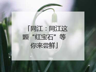 同江：同江这颗“红宝石”等你来尝鲜