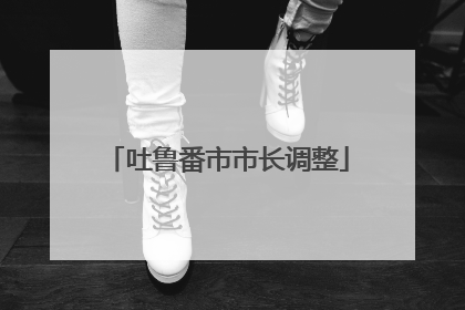 吐鲁番市市长调整