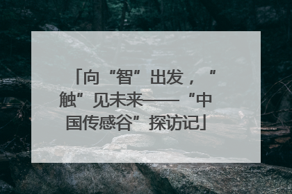 向“智”出发，“触”见未来——“中国传感谷”探访记