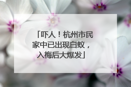 吓人！杭州市民家中已出现白蚁，入梅后大爆发
