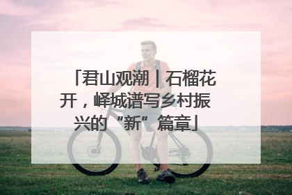 君山观潮｜石榴花开，峄城谱写乡村振兴的“新”篇章