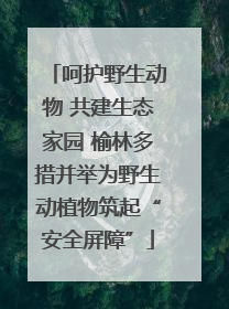 呵护野生动物 共建生态家园 榆林多措并举为野生动植物筑起“安全屏障”