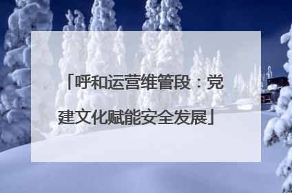 呼和运营维管段：党建文化赋能安全发展