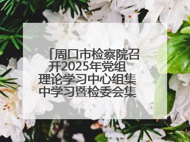 周口市检察院召开2025年党组理论学习中心组集中学习暨检委会集体学习会议