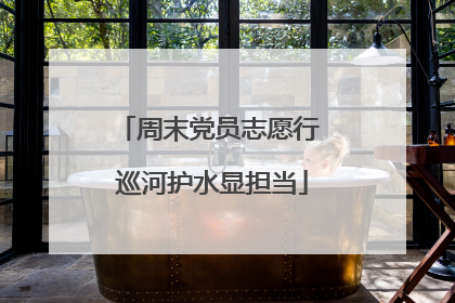 周末党员志愿行 巡河护水显担当
