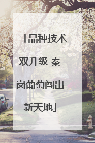 品种技术双升级 秦岗葡萄闯出新天地