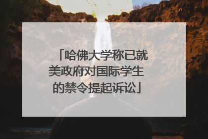哈佛大学称已就美政府对国际学生的禁令提起诉讼