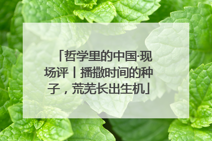 哲学里的中国·现场评丨播撒时间的种子，荒芜长出生机