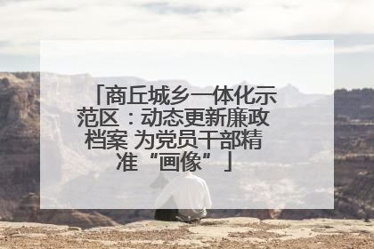 商丘城乡一体化示范区：动态更新廉政档案 为党员干部精准“画像”
