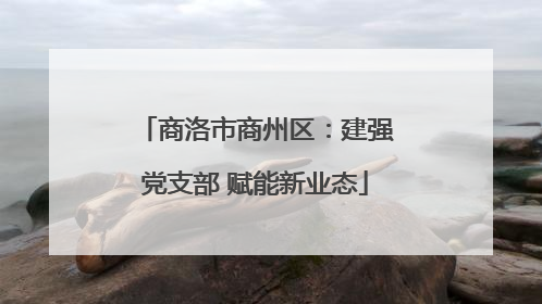 商洛市商州区：建强党支部 赋能新业态