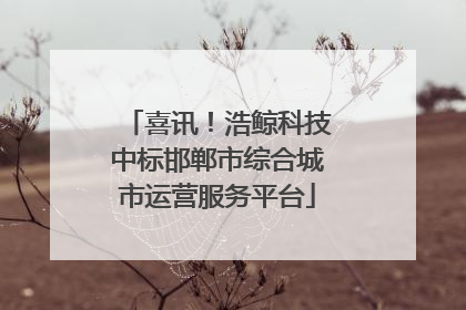 喜讯！浩鲸科技中标邯郸市综合城市运营服务平台