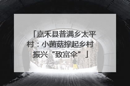 嘉禾县普满乡太平村：小菌菇撑起乡村振兴“致富伞”