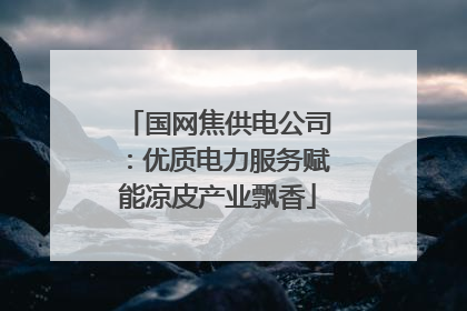 国网焦供电公司：优质电力服务赋能凉皮产业飘香
