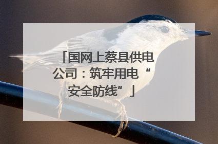 国网上蔡县供电公司：筑牢用电“安全防线”