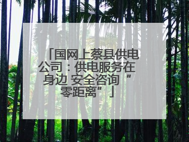 国网上蔡县供电公司：供电服务在身边 安全咨询“零距离”