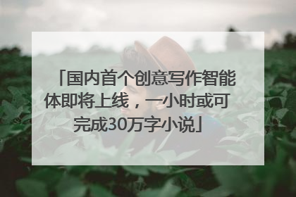 国内首个创意写作智能体即将上线，一小时或可完成30万字小说
