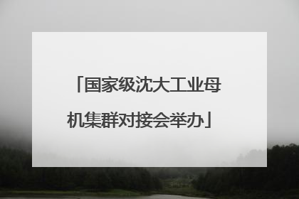 国家级沈大工业母机集群对接会举办