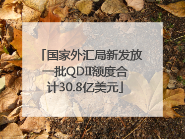 国家外汇局新发放一批QDII额度合计30.8亿美元