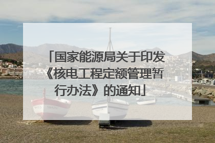 国家能源局关于印发《核电工程定额管理暂行办法》的通知