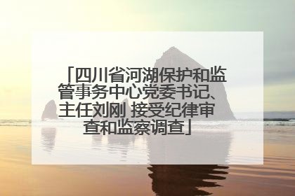 四川省河湖保护和监管事务中心党委书记、主任刘刚 接受纪律审查和监察调查