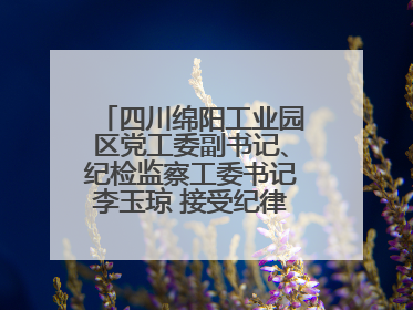四川绵阳工业园区党工委副书记、纪检监察工委书记李玉琼 接受纪律审查和监察调查