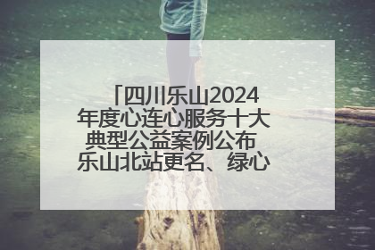 四川乐山2024年度心连心服务十大典型公益案例公布 乐山北站更名、绿心路井盖治理等上榜