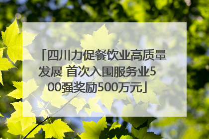 四川力促餐饮业高质量发展 首次入围服务业500强奖励500万元