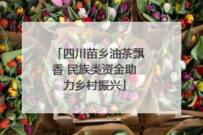 四川苗乡油茶飘香 民族类资金助力乡村振兴