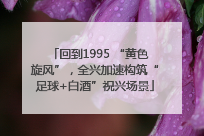 回到1995 “黄色旋风”，全兴加速构筑“足球+白酒”祝兴场景