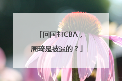 回国打CBA，周琦是被逼的？